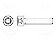 Screw; M2.5x8; 0.45; Head: cheese head; hex key; HEX 2mm; steel BOSSARD