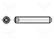 Screw; M3x10; 0.5; Head: without head; hex key; HEX 1,5mm; steel BOSSARD