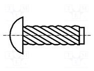 Screw rivet pin; A2 stainless steel; BN 689; Ø: 2.49mm; L: 6.35mm BOSSARD