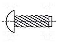 Screw rivet pin; A2 stainless steel; BN 689; Ø: 2.49mm; L: 9.52mm BOSSARD