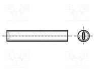 Screw; M3x10; 0.5; Head: without head; slotted; 0,5mm; polyamide 