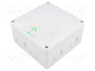 Enclosure: junction box; X: 140mm; Y: 140mm; Z: 79mm; polystyrene SPELSBERG