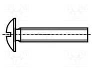 Screw; M5x30; 0.8; Head: button; slotted; plastic; Strength cl: 6.6 BOSSARD