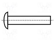 Rivet; aluminium; Rivet diam: 3mm; L.rivet: 6mm; BN 252; DIN 674 BOSSARD