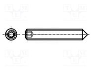 Screw; M4x5; 0.7; Head: without head; hex key; HEX 2mm; steel; zinc BOSSARD