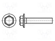 Screw; with flange; M3x8; 0.5; Head: hexagonal; steel; zinc BOSSARD