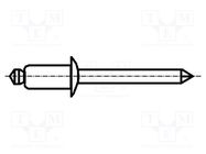 Rivet; aluminium; Rivet diam: 4.8mm; L.rivet: 11mm; BN 924 BOSSARD