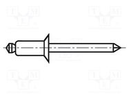 Rivet; aluminium; Rivet diam: 4mm; L.rivet: 12mm; BN 925; DIN 7337B BOSSARD