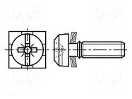 Screw; with washer; M3x6; 0.5; Pozidriv,slotted; PZ1,0.6mm; steel BOSSARD