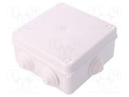 Enclosure: junction box; X: 133mm; Y: 133mm; Z: 64mm; wall mount ELEKTRO-PLAST NASIELSK