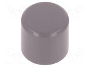 Button; grey; polyamide; PVA series C&K