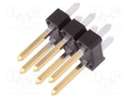 Connector: pin strips; pin header; BERGSTIK II; male; PIN: 6; THT Amphenol Communications Solutions