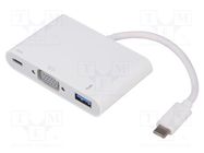 Adapter; USB 3.0,USB 3.1; 0.19m; white; white QOLTEC