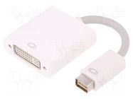 Adapter; DVI mini plug,DVI-I (24+5) socket; 170mm; white QOLTEC