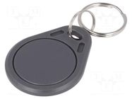 RFID pendant; plastic; grey; 13.56MHz; ISO: ISO 14443A SYSTEM 7 SECURITY