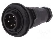 Connector: circular; plug; male; PIN: 6; 5A; 250V; IP68; UL94V-0 BULGIN