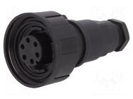 Connector: circular; plug; female; PIN: 6; 5A; 250V; IP68; UL94V-0 BULGIN