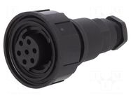 Connector: circular; plug; female; PIN: 7; 5A; 250V; IP68; UL94V-0 BULGIN