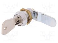 Lock; different cylinder; zinc and aluminium alloy; 22mm RST ROZTOCZE