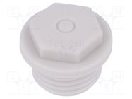 Stopper; M16; 1.5; IP54; polyamide; grey; SKINDICHT® WN-M; -30÷80°C LAPP