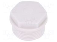 Stopper; M25; 1.5; IP54; polyamide; grey; SKINDICHT®; Thread: metric LAPP