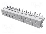 Micro-MaTch; socket; female; PIN: 20; SMT; on PCBs; Layout: 2x10 TE Connectivity