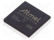 IC: ARM7TDMI microcontroller; LQFP100; 3÷3.6VDC; AT91 