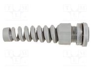 Cable gland; with strain relief; M20; 1.5; IP66,IP68; polyamide ALPHA WIRE