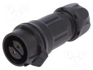 Connector: circular; plug; size 16; 02; female; PIN: 2; for latch LUTRONIC