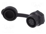 Connector: circular; socket; size 12; 02; female; PIN: 8; 125V; 3A LUTRONIC