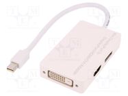 Adapter; DisplayPort 1.1a; white; Input: mini DisplayPort plug DIGITUS