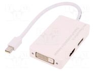 Adapter; DisplayPort 1.1a; white; Input: mini DisplayPort plug DIGITUS