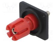 Connector: loudspeaker; terminal; with 4mm transversal socket CLIFF