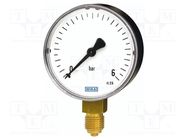 Manometer; 0÷6bar; Class: 1.6; 100mm; Temp: -20÷60°C; steel; 111.10 WIKA