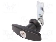 Lock; zinc and aluminium alloy; 21mm; black finish; Kit: key x2 RST ROZTOCZE