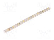 LED tape; RGBW; 5050; 24V; LED/m: 96; 12mm; white PCB; IP65; 23W/m WISVA OPTOELECTRONICS