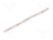 LED tape; RGBW; 5050; LED/m: 96; 12mm; white PCB; IP20; 23W/m; 24VDC WISVA OPTOELECTRONICS