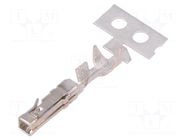 Contact; female; gold-plated; 30AWG÷22AWG; cut from reel; 2.54mm AMPHENOL COMMUNICATIONS SOLUTIONS