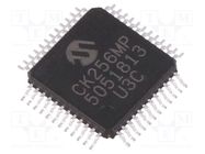 IC: dsPIC microcontroller; 256kB; 24kBSRAM; TQFP48; 3÷3.6VDC MICROCHIP TECHNOLOGY