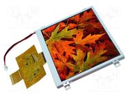 Display: TFT; 5.7"; 320x240; Illumin: LED; Dim: 141.1x101.6x6.5mm DISPLAY VISIONS