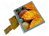 Display: TFT; 5"; 800x480; Illumin: LED; Dim: 120.7x75.8x2.8mm; RGB DISPLAY VISIONS