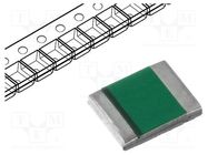 Fuse: PTC polymer; 200mA; 1210 ECE