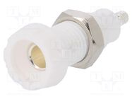 Connector: 4mm banana; socket; 10A; 50VDC; 28.5mm; white; 10mΩ DELTRON