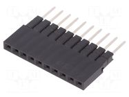 Connector: pin strips; socket; female; PIN: 10; straight; 3A; THT CONNFLY