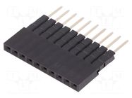 Connector: pin strips; socket; female; PIN: 10; straight; 3A; THT CONNFLY
