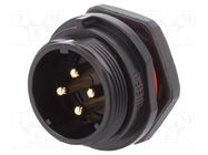 Socket; SP21; male; PIN: 4; IP68; 10A; screw terminal; 500V; 1.5mm2 WEIPU