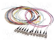 Optic fiber pigtail; OM3; ST/UPC; 2m; Optical fiber: 50/125um LAPP