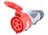 Connector: AC supply 3-phase; socket; female; 32A; 400VAC; GRIP PCE