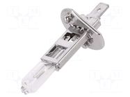 Filament lamp: automotive; P14,5s; H1; transparent; 12V; 55W; 3400K ELTA