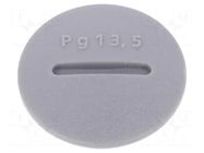 Stopper; PG13,5; polyamide; dark grey; Thread: PG; 6mm; 10pcs. ALPHA WIRE